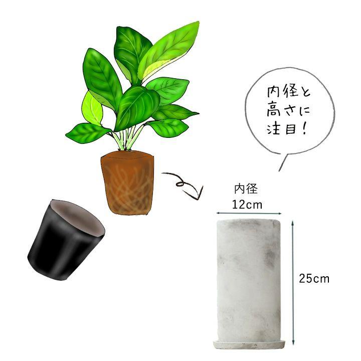 鉢 植木鉢 おしゃれ 室内 陶器鉢 鉢カバー マットな質感、丸長トール