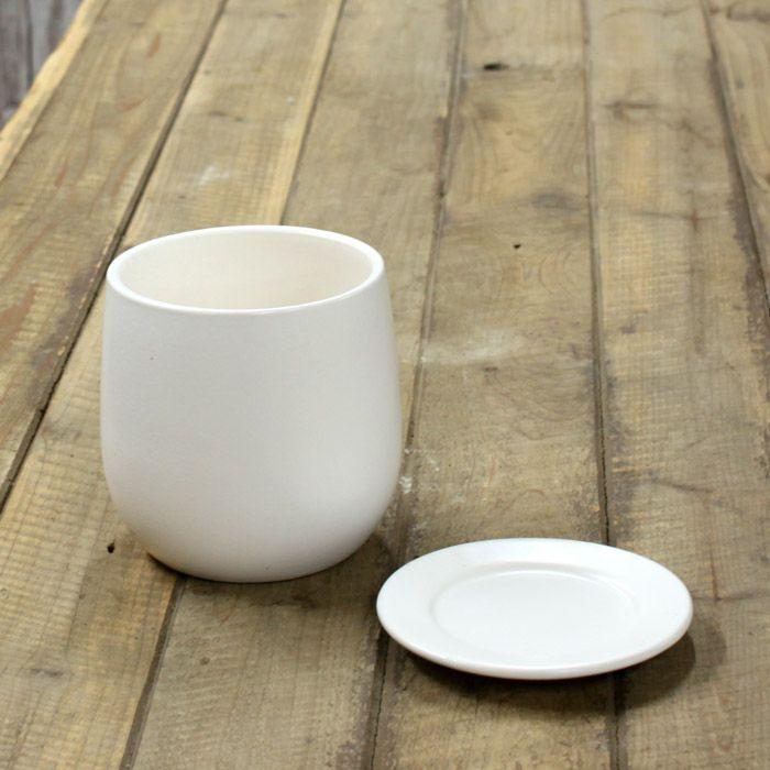 鉢 植木鉢 おしゃれ 室内 陶器鉢 白 人気の白マット!(13cm 鉢 植木鉢 おしゃれ 室内 陶器鉢 白 人気の白マット!(13cm