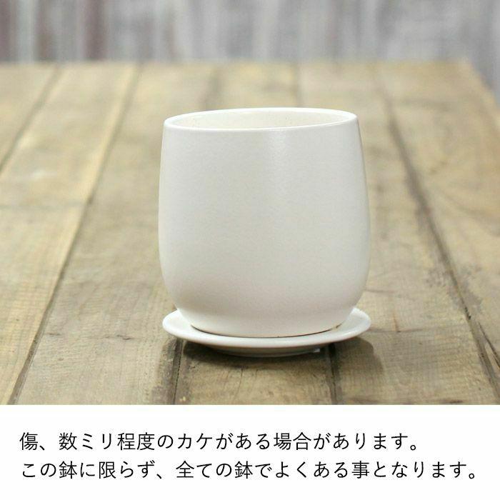 植木鉢 おしゃれ 室内 陶器鉢 白い陶器の植木鉢。マット仕上げ、優しい