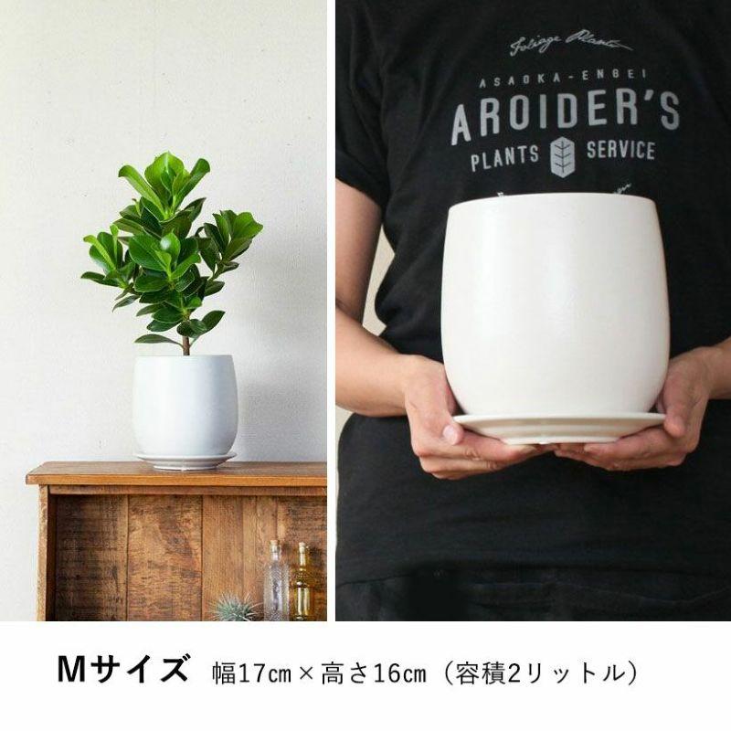 植木鉢 おしゃれ 室内 陶器鉢 白い陶器の植木鉢。マット仕上げ、優しい