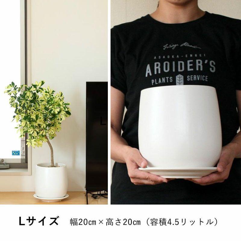 【極美品】カタチ製作所　植木鉢　アイボリー 陶器作品 植木鉢 おしゃれ 室内 陶器鉢 白い陶器の植木鉢。マット仕上げ、優しい