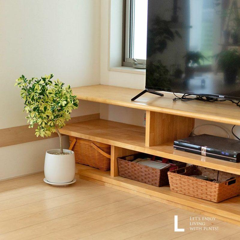 植木鉢 おしゃれ 室内 陶器鉢 白い陶器の植木鉢。マット仕上げ、優しい