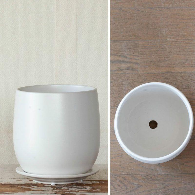 植木鉢 おしゃれ 室内 陶器鉢 白い陶器の植木鉢。マット仕上げ、優しい