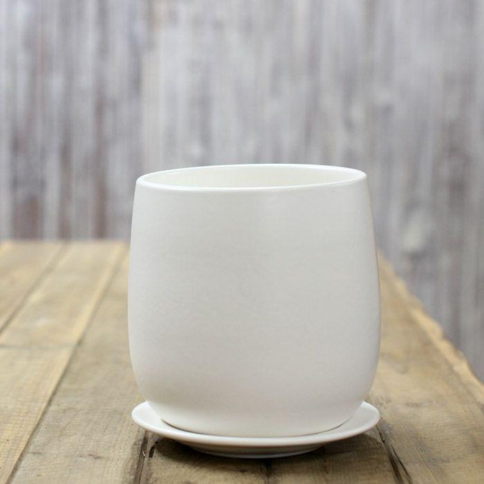 植木鉢 おしゃれ 室内 陶器鉢 白 人気の白マット！（20.5cm） 鉢 観葉