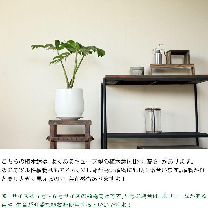 鉢 植木鉢 おしゃれ 室内 陶器鉢 白 人気の白マット!(20.5cm 鉢 植木鉢 おしゃれ 室内 陶器鉢 白 人気の白マット!(20.5cm