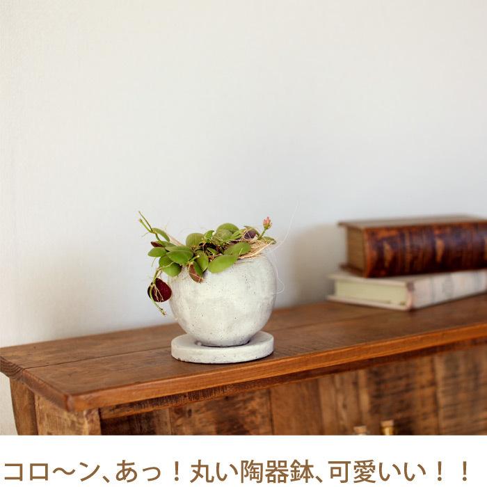 植木鉢 おしゃれ 小さい 陶器鉢 アンティーク セメント丸 S 内径6 5ｃｍ E 花屋さん Cx603s E 花屋さん 通販 Yahoo ショッピング