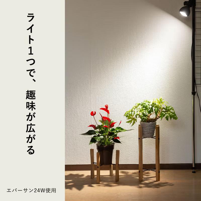 育成ライト ソケット ガチッと固定！抜群の安定感！「タイマー付き」クリップ型ソケット：E26口金（植物ライトは、商品に含まれません） |  | 03