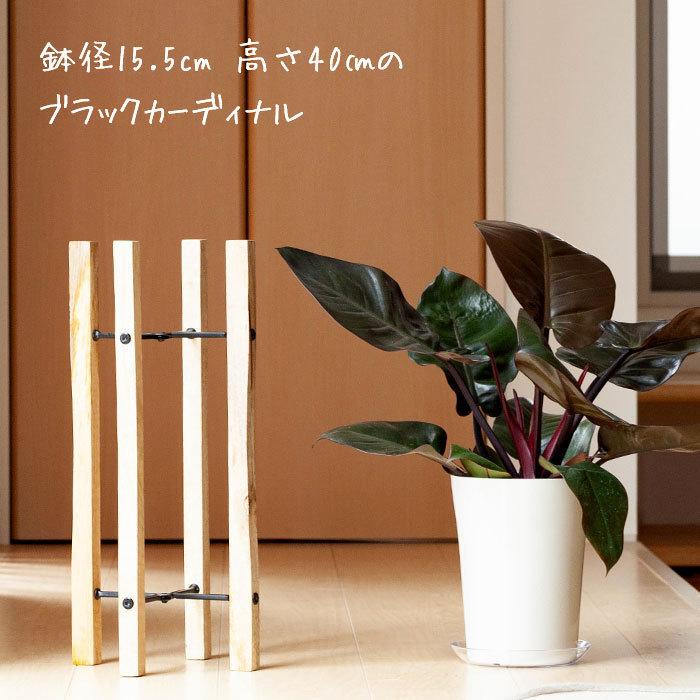 フラワースタンド 花台 観葉植物 台 プラントスタンド 木製 室内