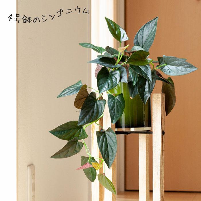 フラワースタンド 花台 観葉植物 台 プラントスタンド 木製 室内