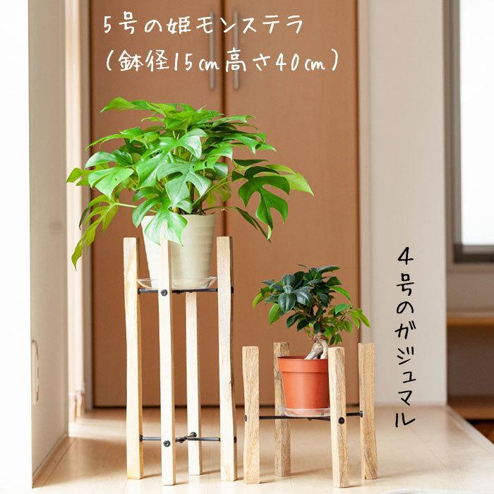 フラワースタンド 花台 観葉植物 台 プラントスタンド 木製 室内