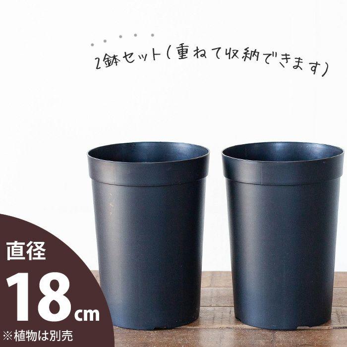 鉢 植木鉢 プラスチック 軽い セット 持っておくと便利！植物が成長し