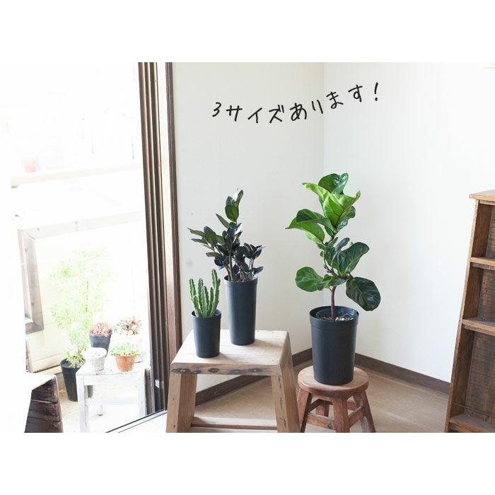 鉢 植木鉢 プラスチック 軽い セット 持っておくと便利！植物が成長し