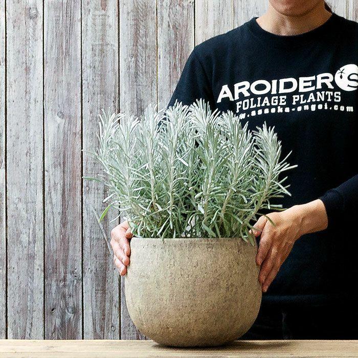 鉢 植木鉢 陶器 おしゃれ 屋外 素焼き 鉢カバー 石のような質感