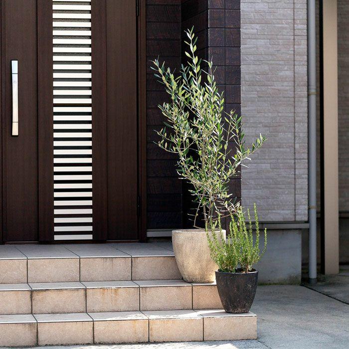 植木鉢 陶器 おしゃれ 屋外 アンティーク 室内 石のような質感