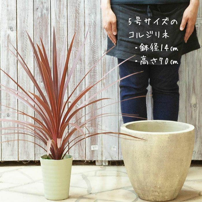 中型陶器植木鉢 風景画と花の装飾 中型陶器植木鉢 風景画と花の装飾 【公式通販】