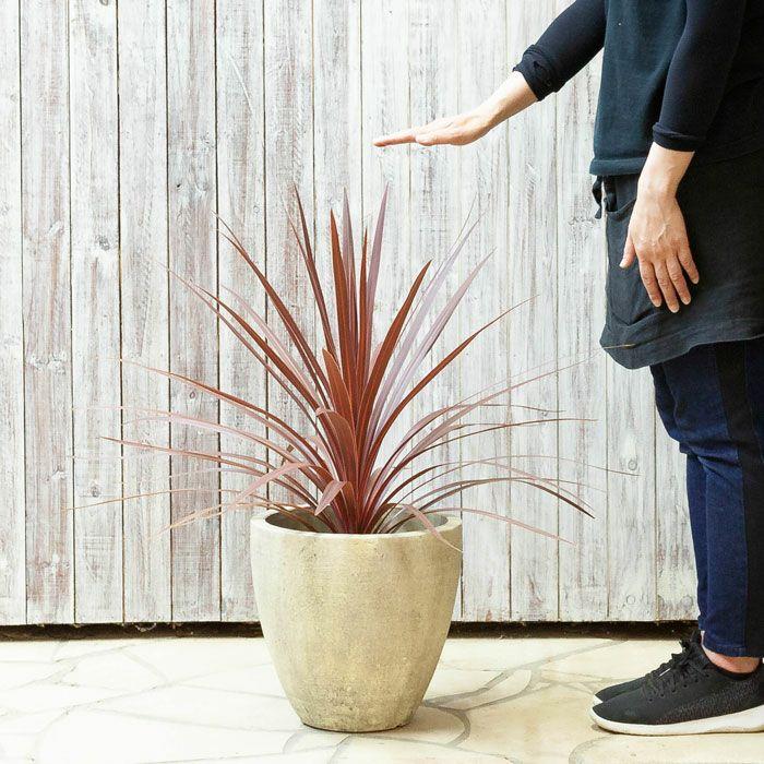 植木鉢 陶器 おしゃれ 屋外 アンティーク 室内 石のような質感