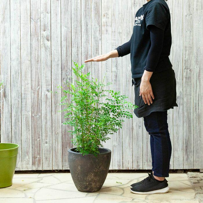 植木鉢 陶器 おしゃれ 屋外 アンティーク 室内 石のような質感