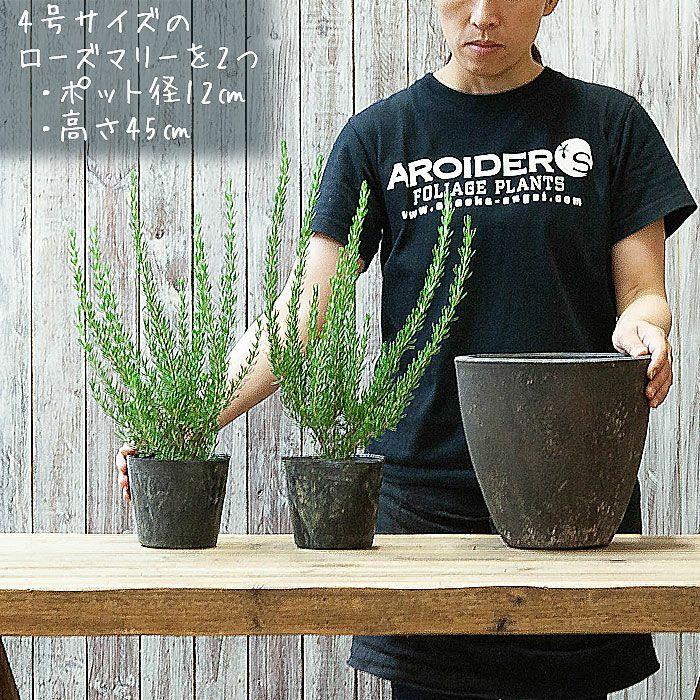 鉢 植木鉢 陶器 おしゃれ 屋外 素焼き 鉢カバー石のような質感