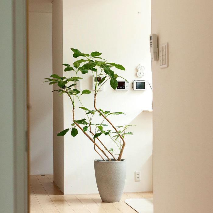 植木鉢・おしゃれ・大型・室内・インテリア・マットグレーのファイバー