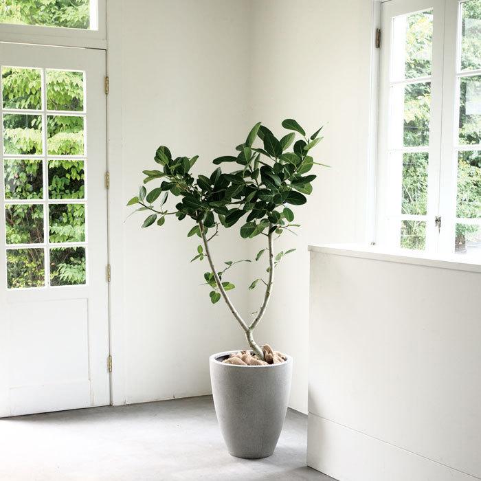 グレー 植木鉢 大型 グレー 植木鉢 大型 【公式通販】