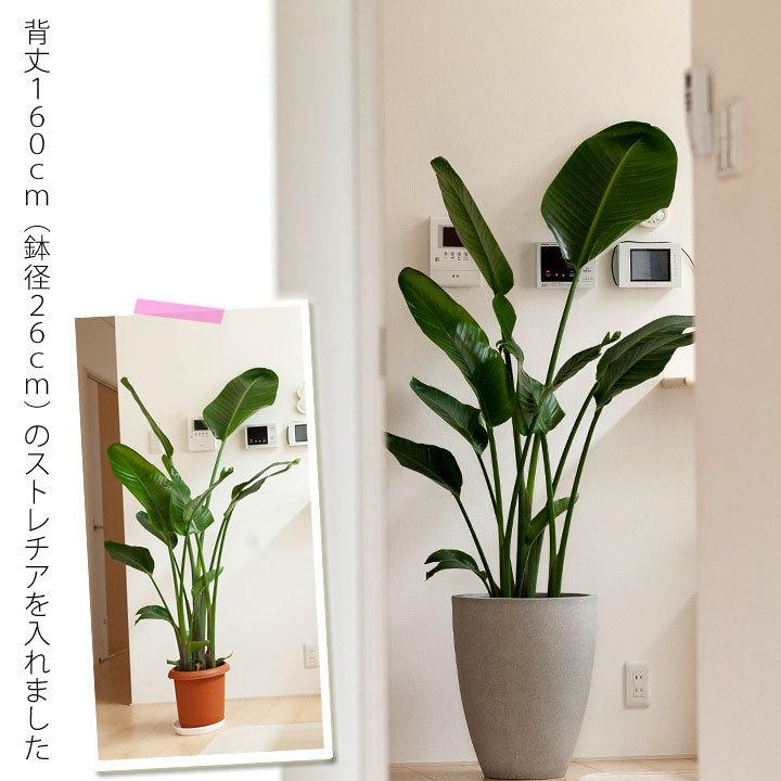 植木鉢・おしゃれ・大型・室内・インテリア・マットグレーのファイバー
