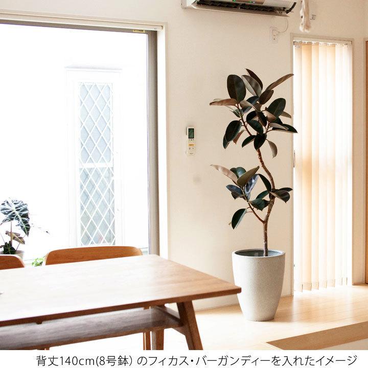 植木鉢・おしゃれ・大型・室内・インテリア・マットグレーのファイバー
