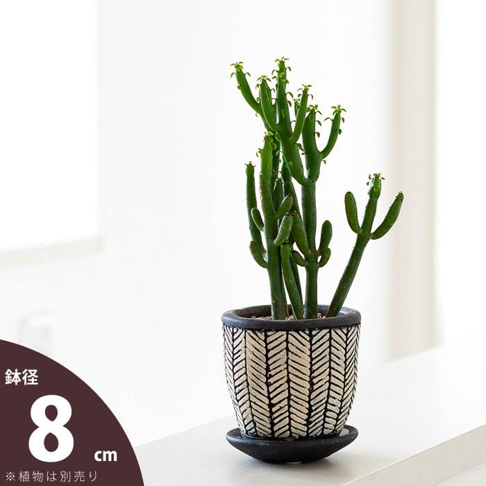 多肉にどうです？異国情緒なチビ植木鉢・ブラック（8cm) : e-花屋さん