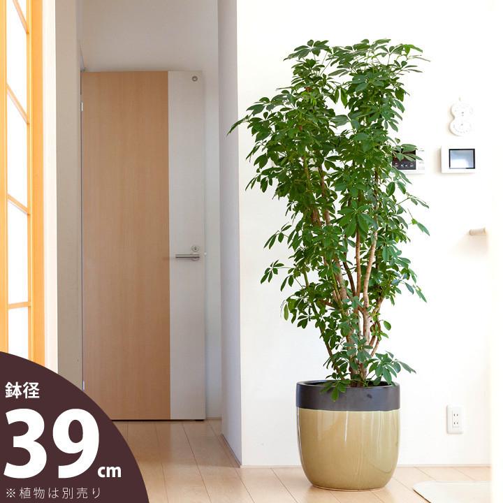 落ち着いたグリーン 可愛らしい陶器鉢 39cm 植木鉢 大型 室内 おしゃれ Ma 同梱不可 Gd1541 E 花屋さん 通販 Yahoo ショッピング