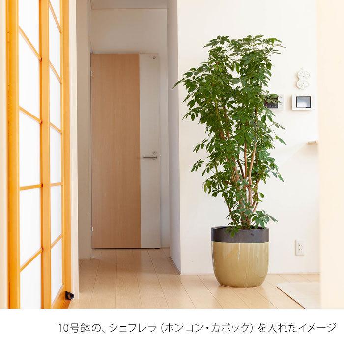 落ち着いたグリーン。可愛らしい陶器鉢（39cm）【植木鉢 大型 室内