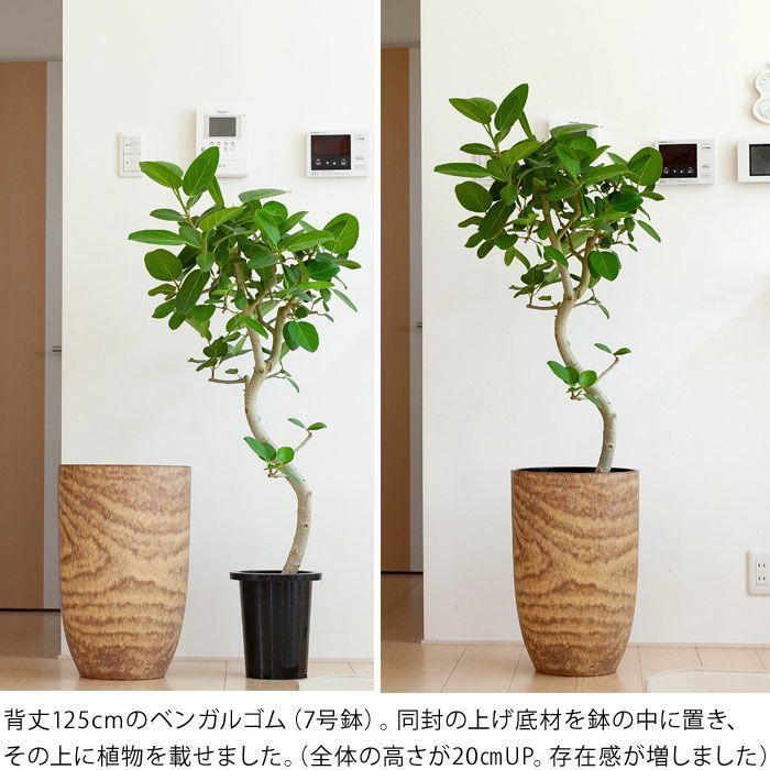 鉢 植木鉢 おしゃれ 室内 鉢カバー アンティーク 木目風 木目調 鉢 植木鉢 おしゃれ 室内 鉢カバー アンティーク 木目風 木目調