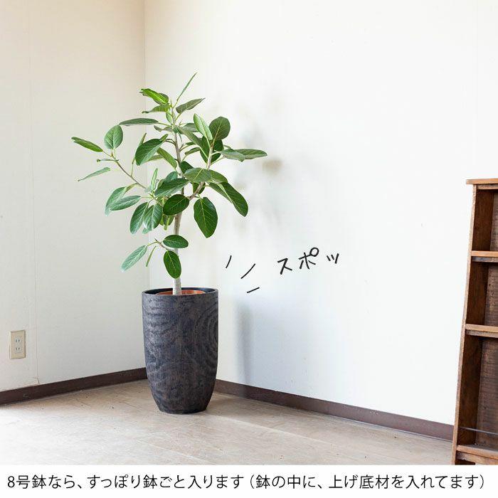 鉢 植木鉢 おしゃれ 室内 鉢カバー アンティーク 木目風 木目調の鉢
