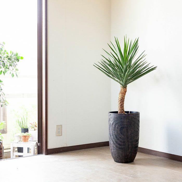 鉢 植木鉢 おしゃれ 室内 鉢カバー アンティーク 木目風 木目調 鉢 植木鉢 おしゃれ 室内 鉢カバー アンティーク 木目風 木目調