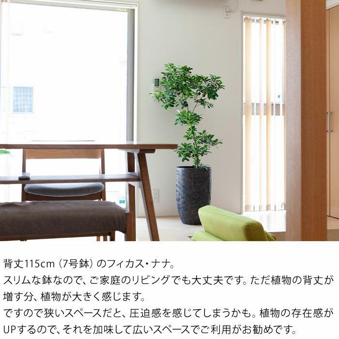 鉢 植木鉢 おしゃれ 室内 鉢カバー アンティーク 木目風 木目調の鉢