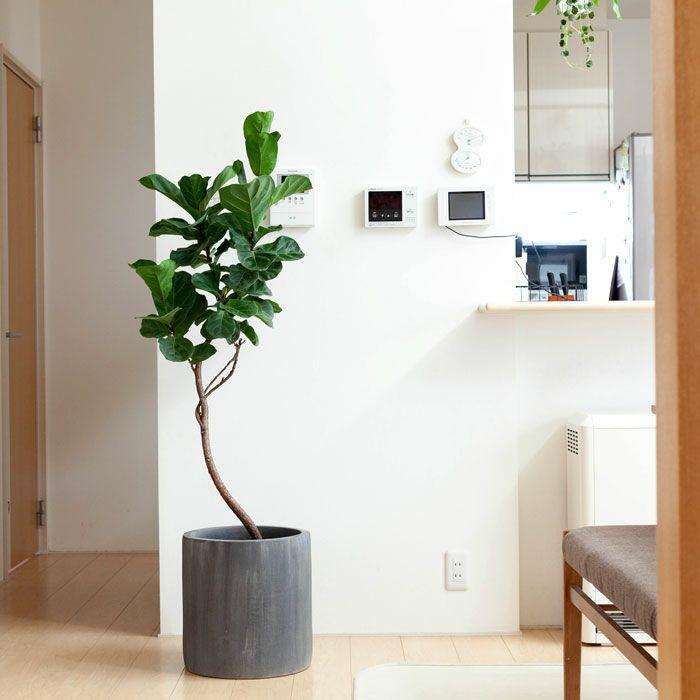 鉢 植木鉢 陶器 おしゃれ 鉢カバー 大型 どしっ。重量感あるシリンダー