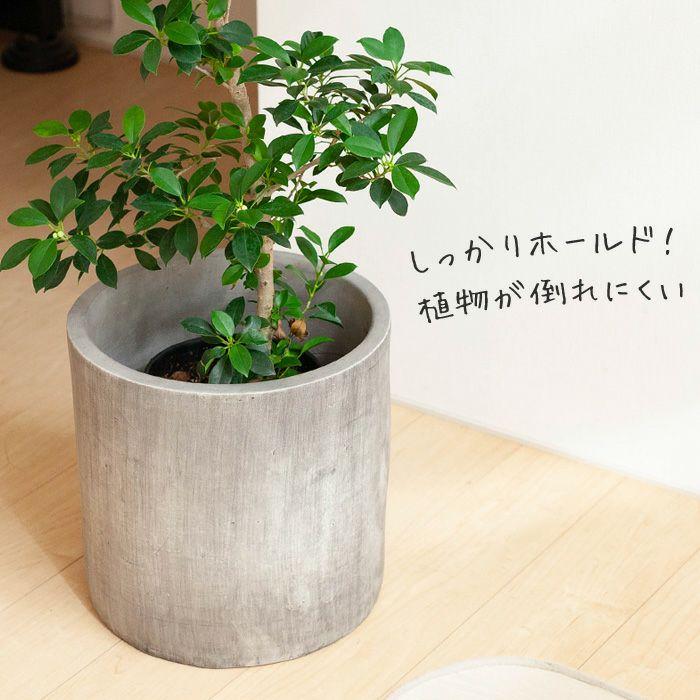 鉢 植木鉢 陶器 おしゃれ 鉢カバー 大型 どしっ。重量感あるシリンダー
