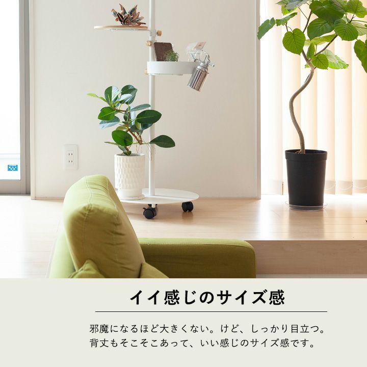 フランスゴム・ゴムの木・おしゃれ・観葉植物・フランスゴムを陶器鉢に