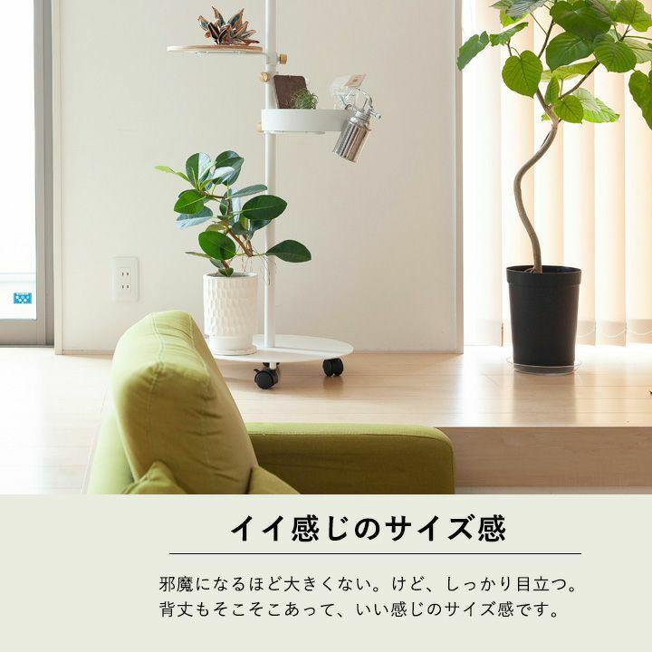 観葉植物 種類 室内 おしゃれ 苗 インテリア 植え替え フランスゴムの