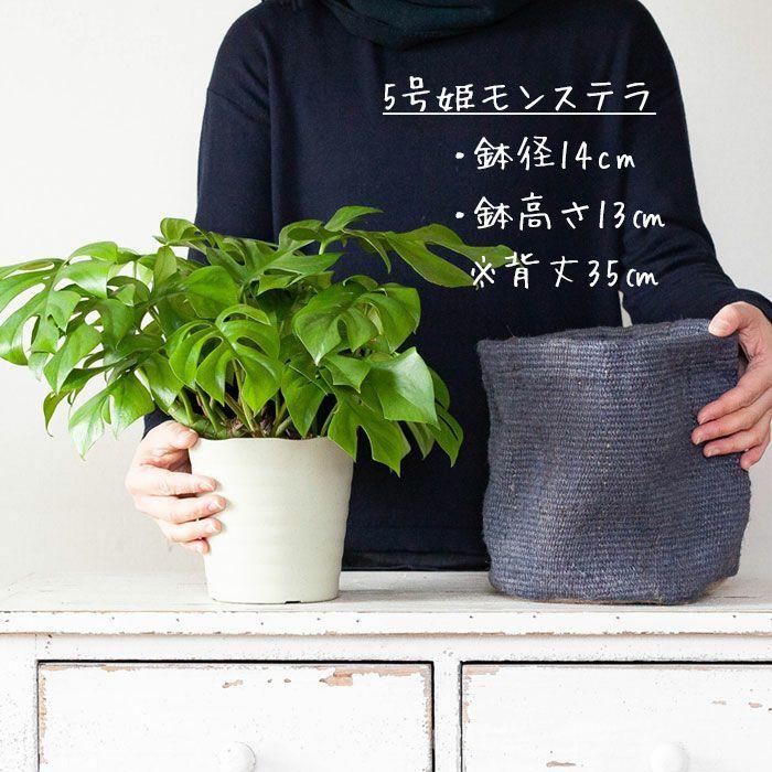 洋服みたいな 布鉢カバー 18ｃｍ Gd1875 E 花屋さん 通販 Yahoo ショッピング