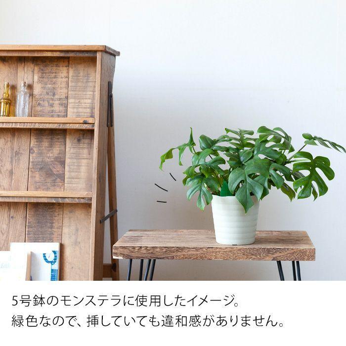 土からわいたコバエに 挿すだけ簡単 粘着剤 Gd1948 1 E 花屋さん 通販 Yahoo ショッピング