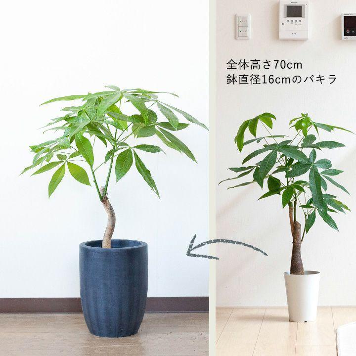 鉢 植木鉢 陶器 おしゃれ 鉢カバー 店長お勧め！サイズ感GOODな植木鉢