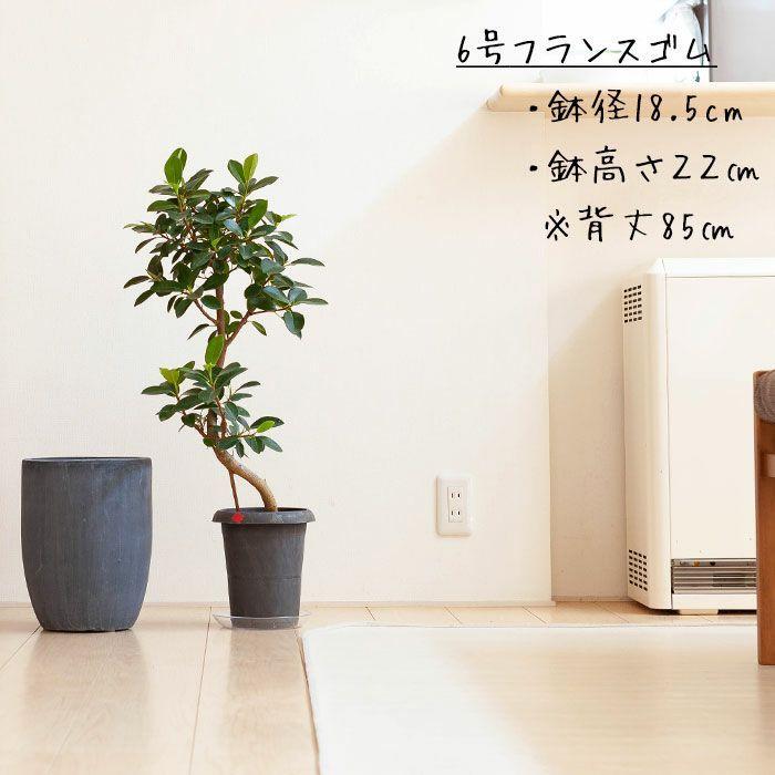 鉢 植木鉢 陶器 おしゃれ 鉢カバー 店長お勧め！サイズ感GOODな植木鉢