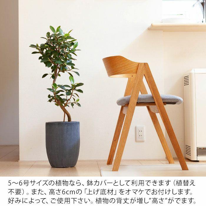 鉢 植木鉢 陶器 おしゃれ 鉢カバー 店長お勧め！サイズ感GOODな植木鉢