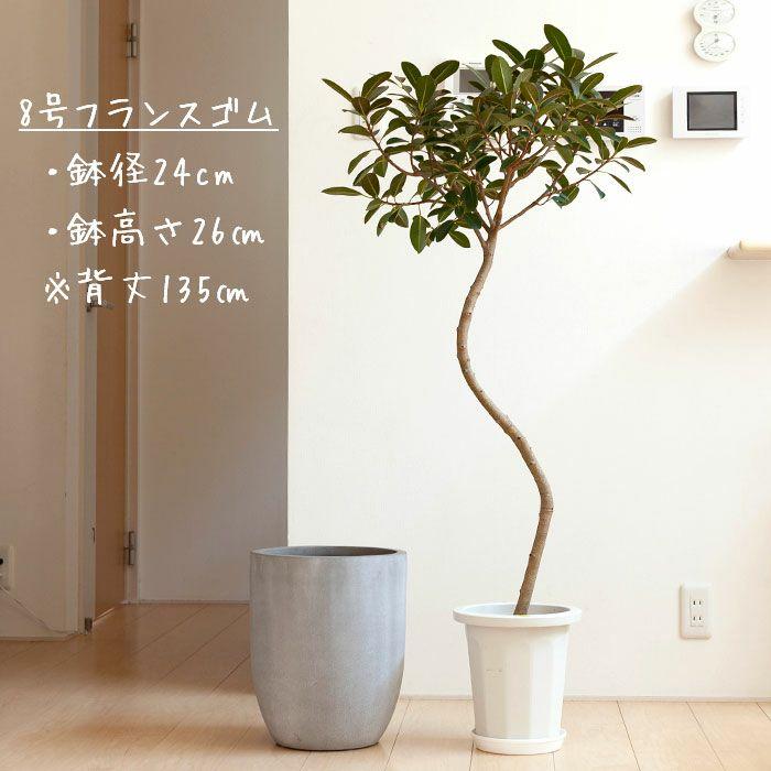 植木鉢 陶器 おしゃれ 大型 鉢カバー 店長お勧め！サイズ感GOODな