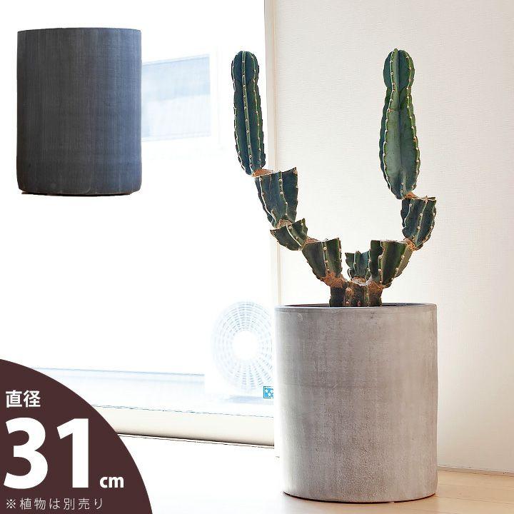 鉢 植木鉢 陶器 おしゃれ 大型 鉢カバー 店長お勧め！サイズ感GOODな