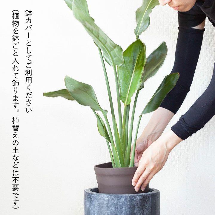 鉢 植木鉢 陶器 おしゃれ 大型 鉢カバー 店長お勧め！サイズ感GOODな