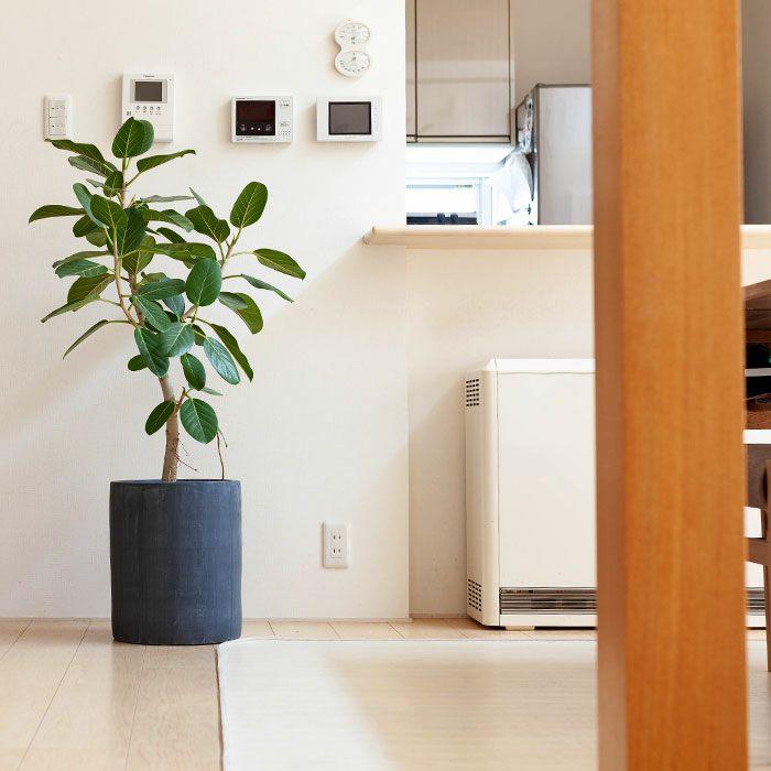 鉢 植木鉢 陶器 おしゃれ 大型 鉢カバー 店長お勧め！サイズ感GOODな