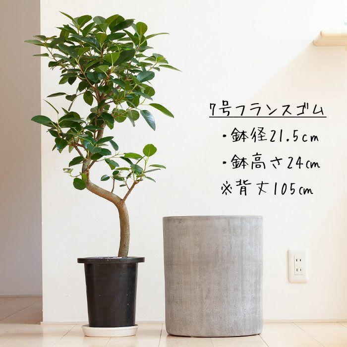 プランター 大きめ鉢　2点 13号 安い商品を通販サイトから | 植木鉢」の人気商品一覧 鉢・プランター