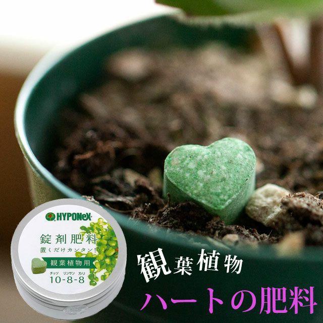 ハートの肥料（観葉植物向け） の商品画像