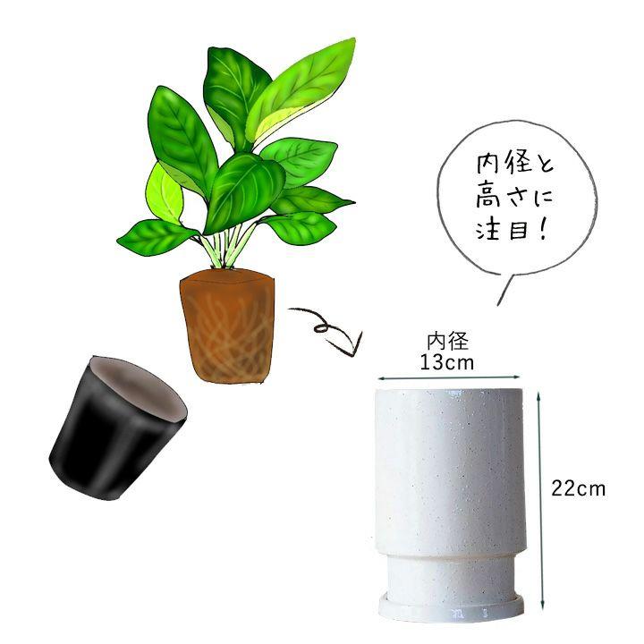 鉢 植木鉢 おしゃれ 陶器 鉢植え 鉢カバー 白 グレー 室内 筒形の背高
