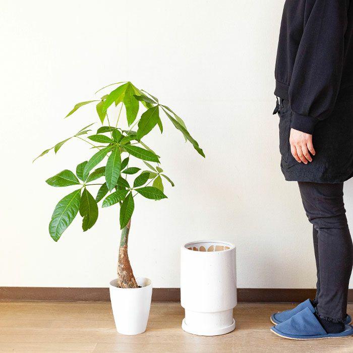 陶器製　植木鉢　大型29cm 小型19cm ２個セット 鉢 植木鉢 おしゃれ 陶器 鉢カバー 鉢植え 室内 筒形の背高陶器鉢・L